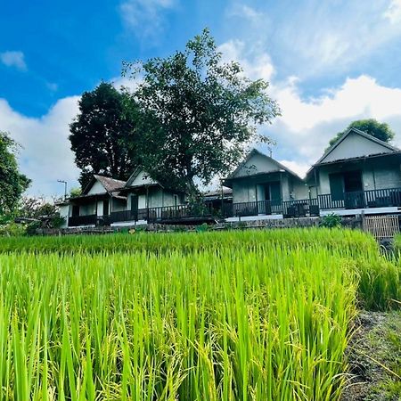 KraThom Doi Luang Chiang Dao Exterior foto