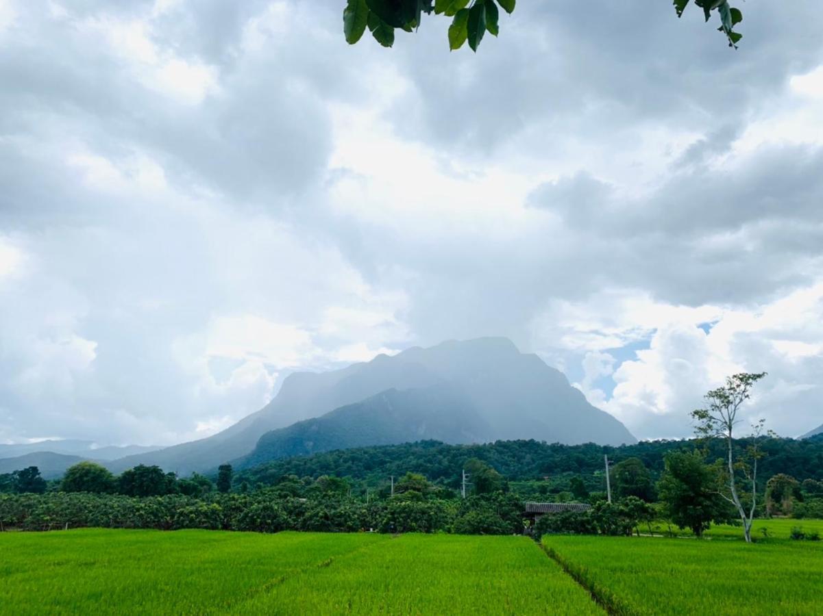 KraThom Doi Luang Chiang Dao Exterior foto