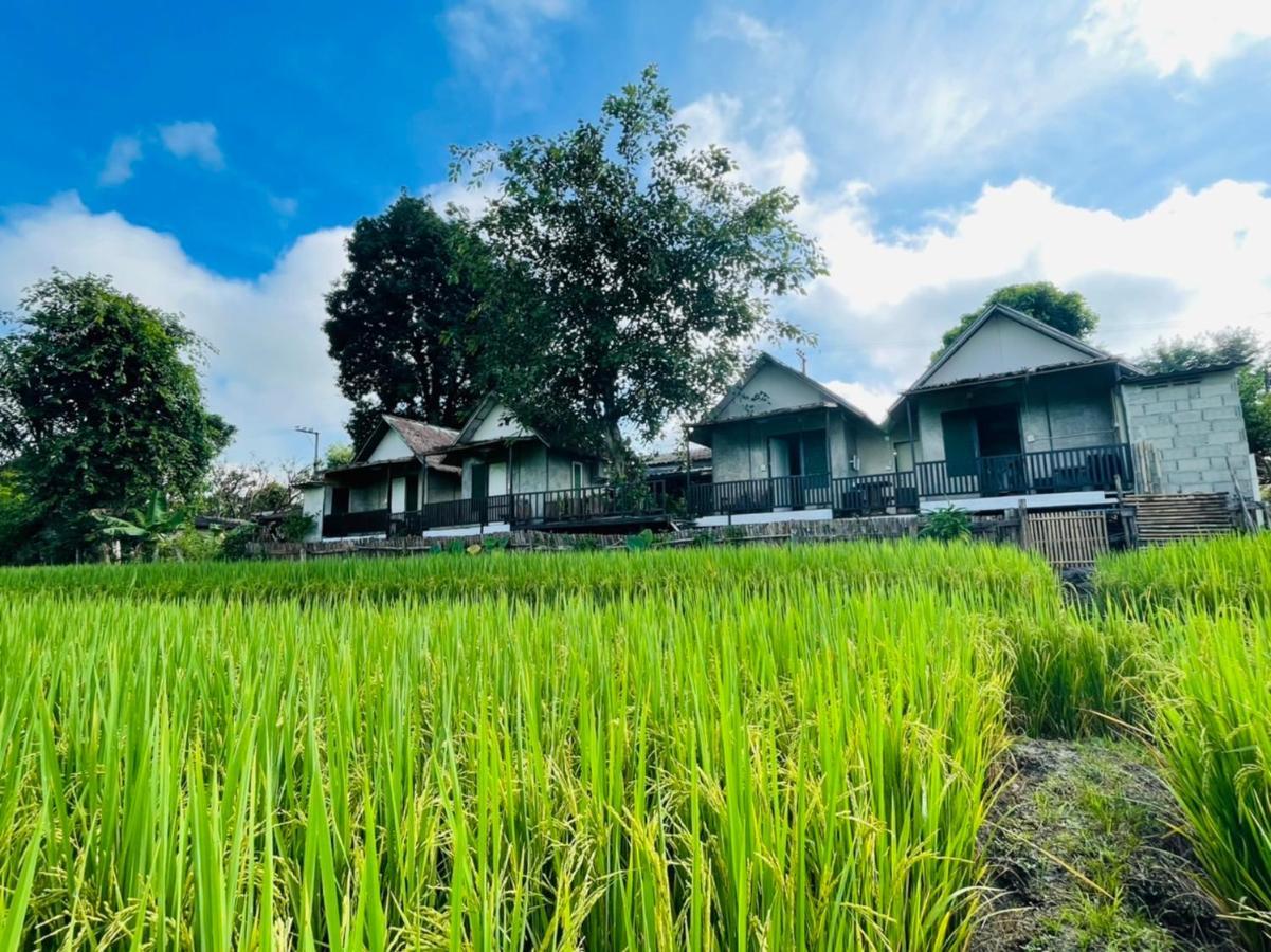KraThom Doi Luang Chiang Dao Exterior foto