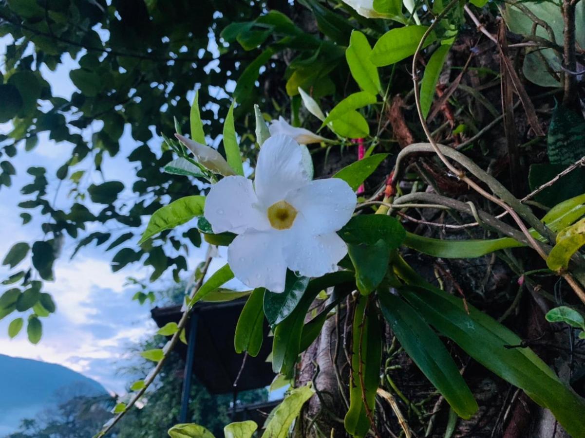 KraThom Doi Luang Chiang Dao Exterior foto