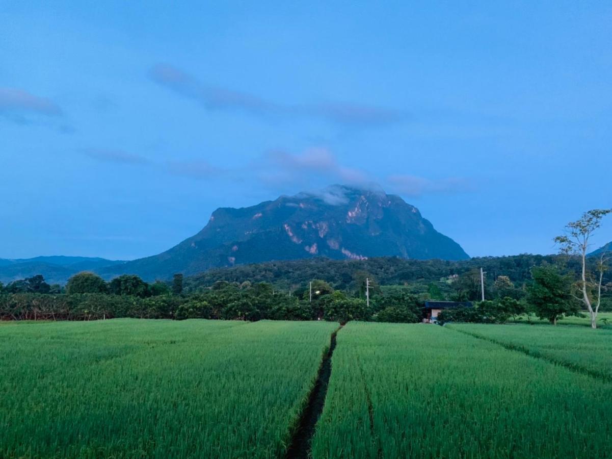 KraThom Doi Luang Chiang Dao Exterior foto