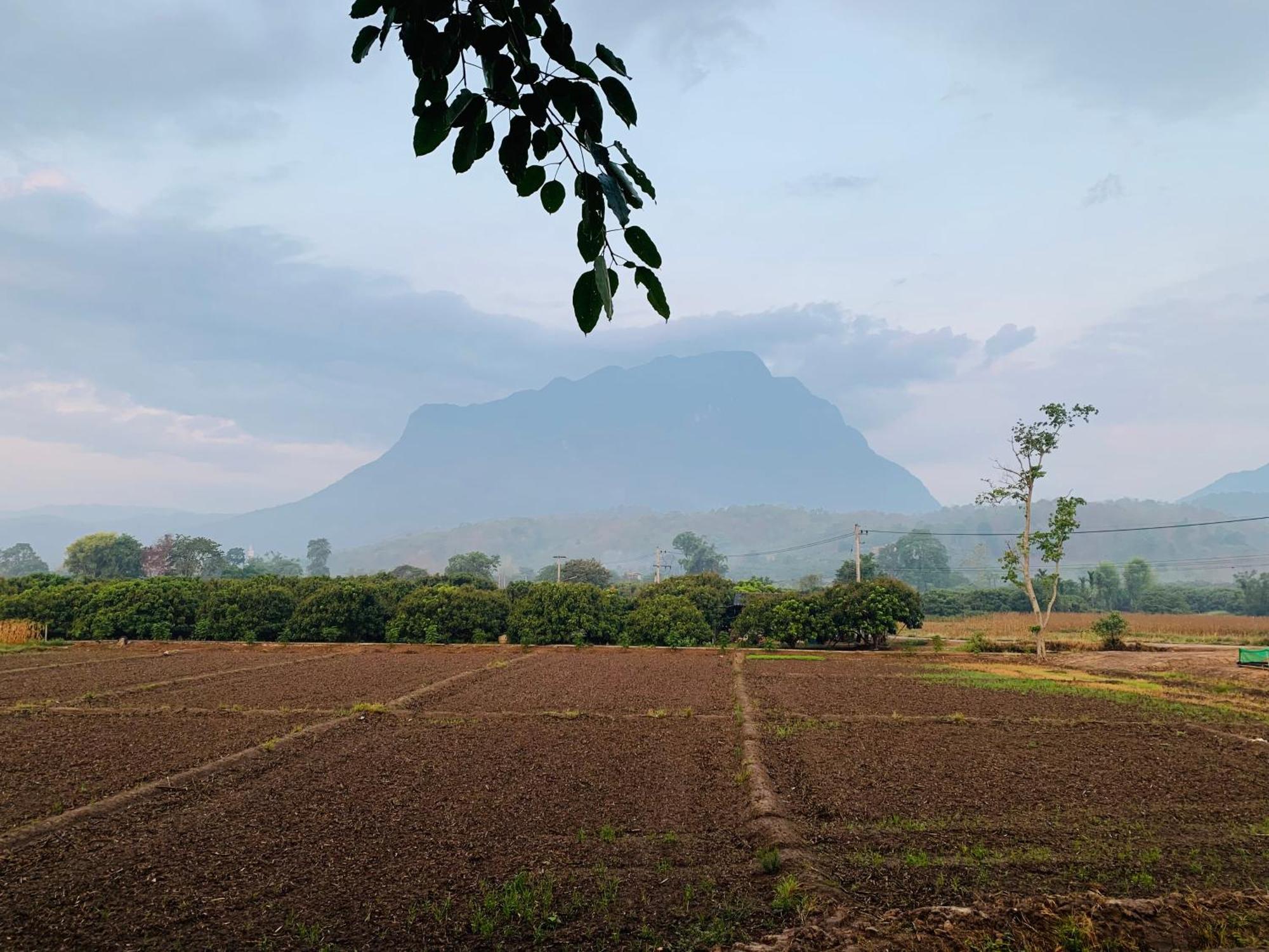 KraThom Doi Luang Chiang Dao Exterior foto